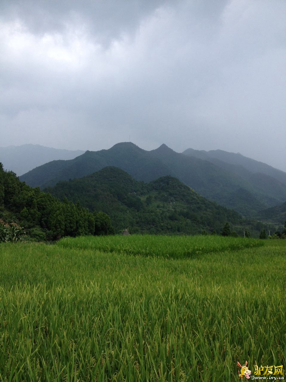 ef4d04f772c9da2790ada6657c76568f露水岩.jpg